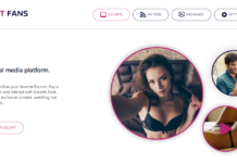 Escort-Ireland owners move into online “fan” space.