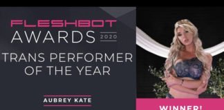Fleshbot Award Winners fleshbot awards