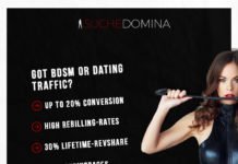 Got BDSM or Dating Traffic? Suche Domina Webmaster Program