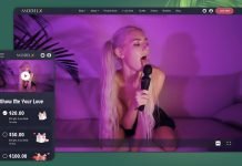 Vicetemple Launches the First Ever WordPress Theme for Adult Content Creators ModelX Wordpress theme for webcam models