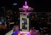 From startup to sensation: next level fan engagement