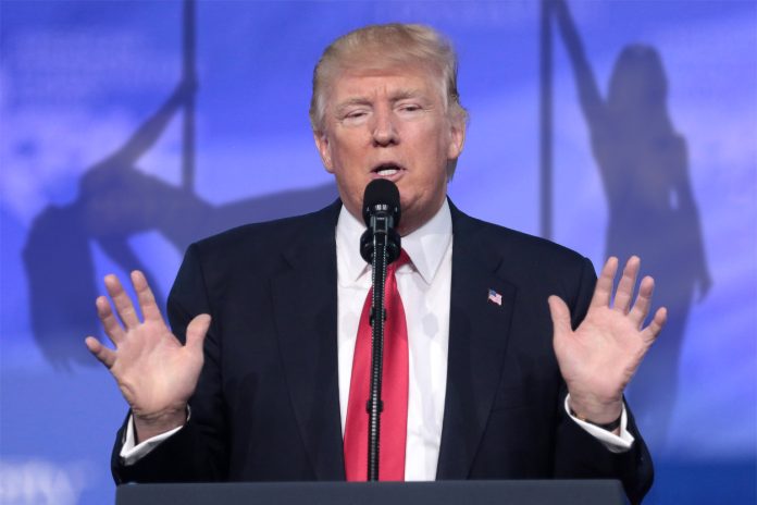 trump-trail trump law case